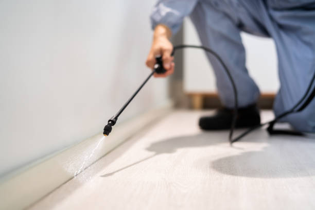 Licensed Cockroach Control service in Bellville, TX - Nex Pest Control