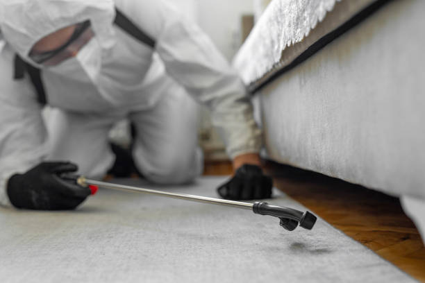 Professional Cockroach Control technician working in Bellville, TX
